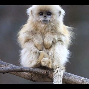 Meet your Posher, Dane